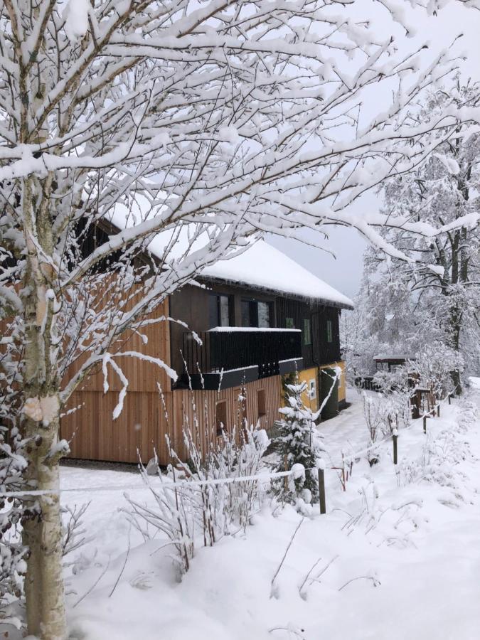 Apartment Stillleben Luxus Fuer Die Seele Abtenau Buitenkant foto