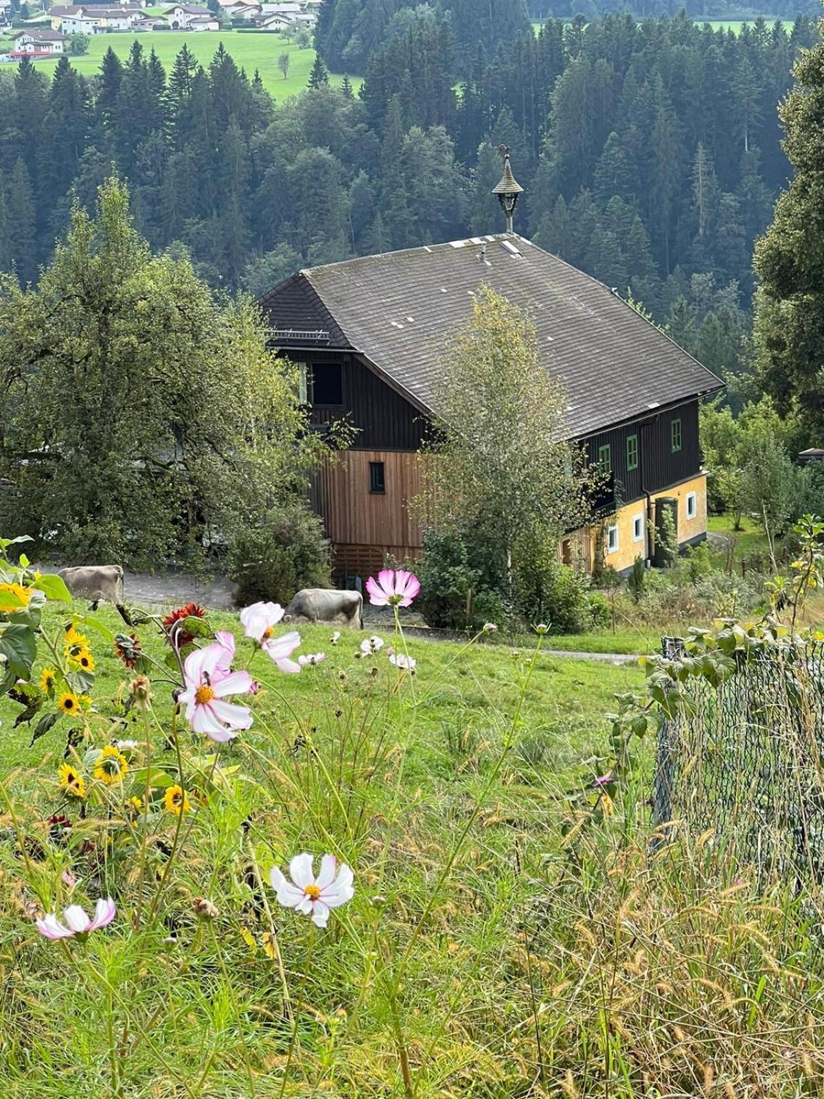 Apartment Stillleben Luxus Fuer Die Seele Abtenau Buitenkant foto