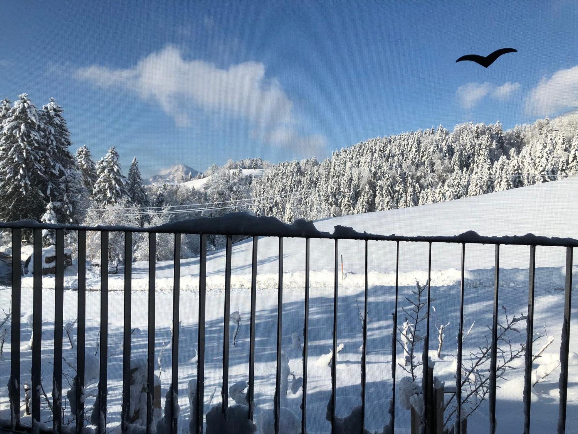 Apartment Stillleben Luxus Fuer Die Seele Abtenau Buitenkant foto